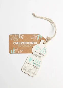 Bow Brazilian Bikini Bottoms Indonesia Eco